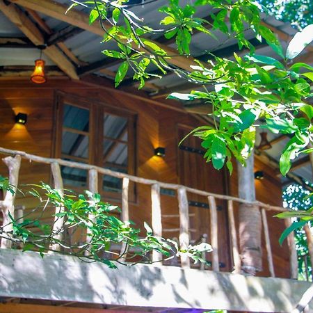 Hotel Dambulla Wilderness World Exteriör bild