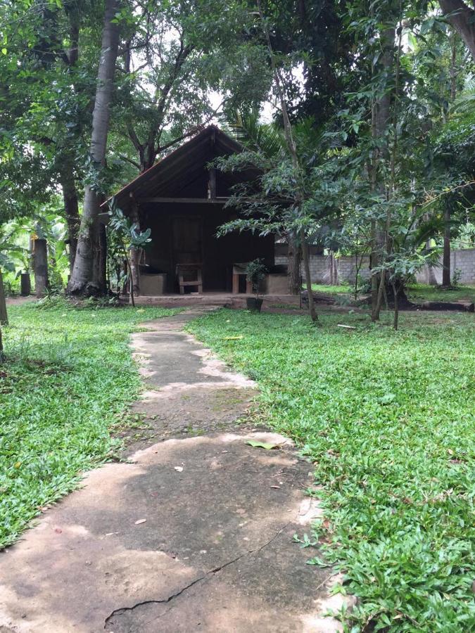 Hotel Dambulla Wilderness World Exteriör bild