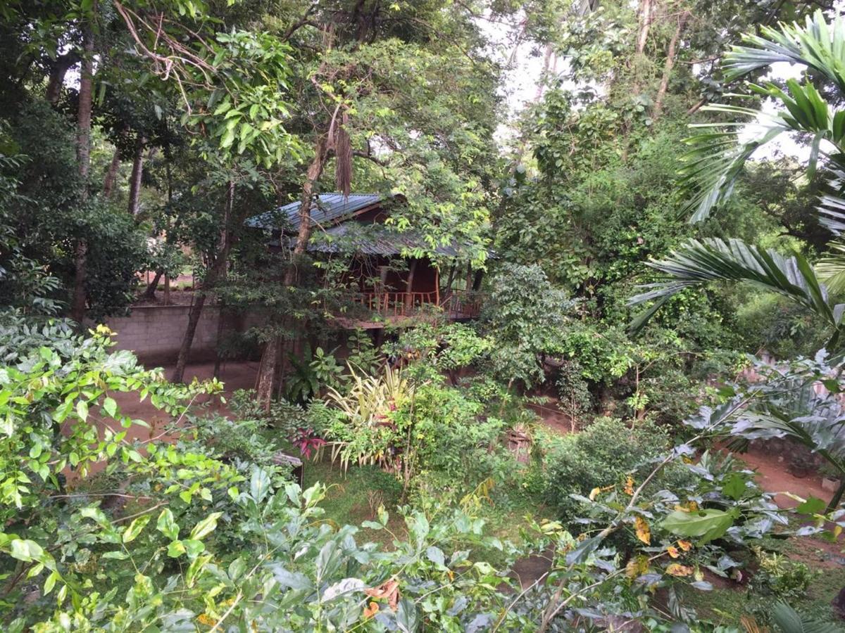Hotel Dambulla Wilderness World Exteriör bild