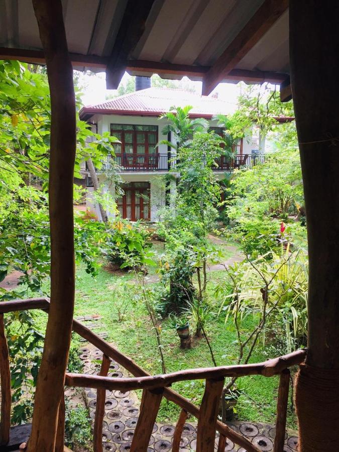 Hotel Dambulla Wilderness World Exteriör bild
