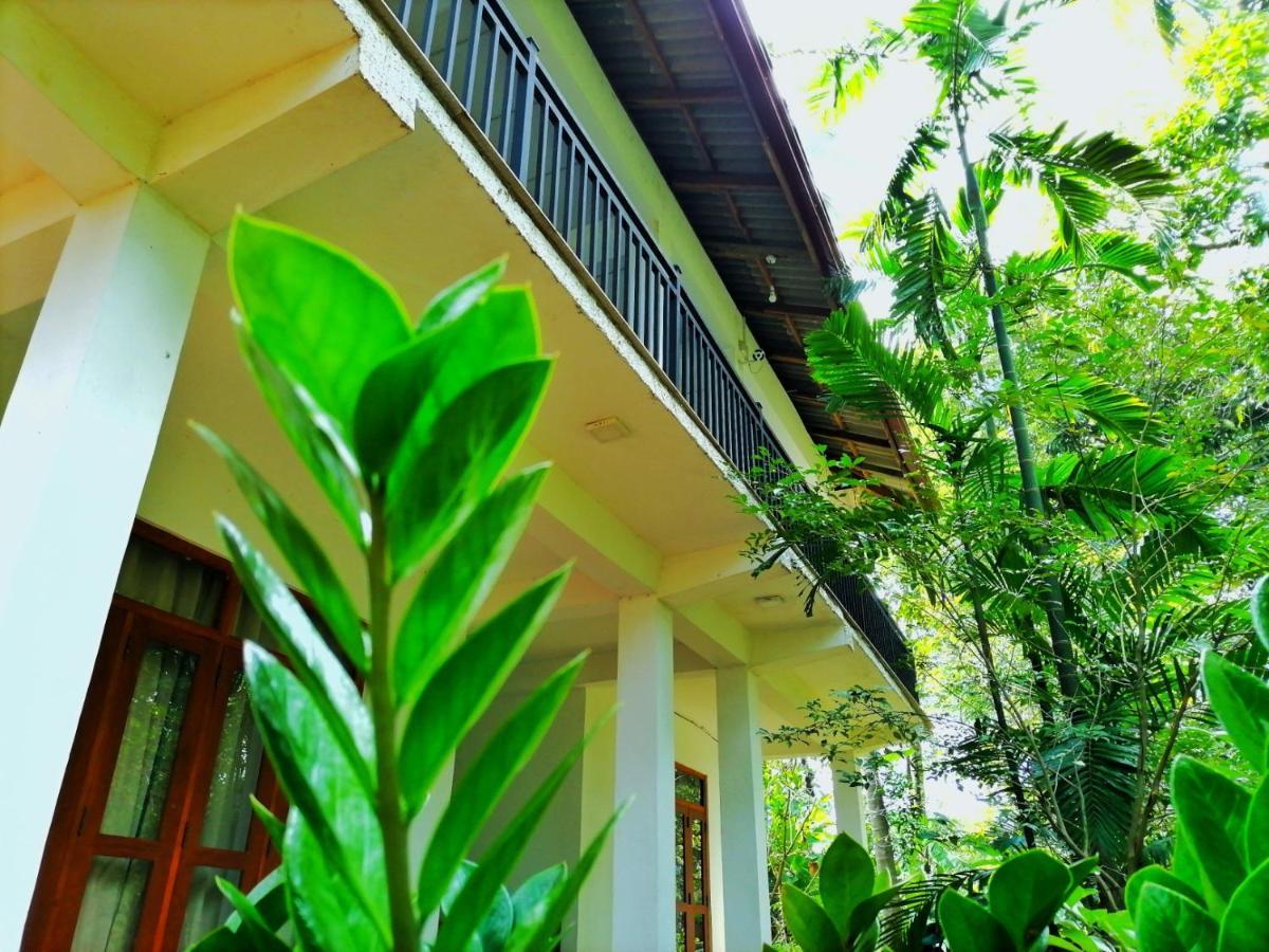 Hotel Dambulla Wilderness World Exteriör bild