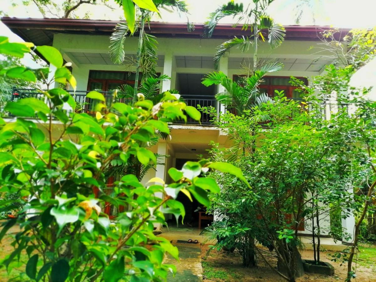 Hotel Dambulla Wilderness World Exteriör bild