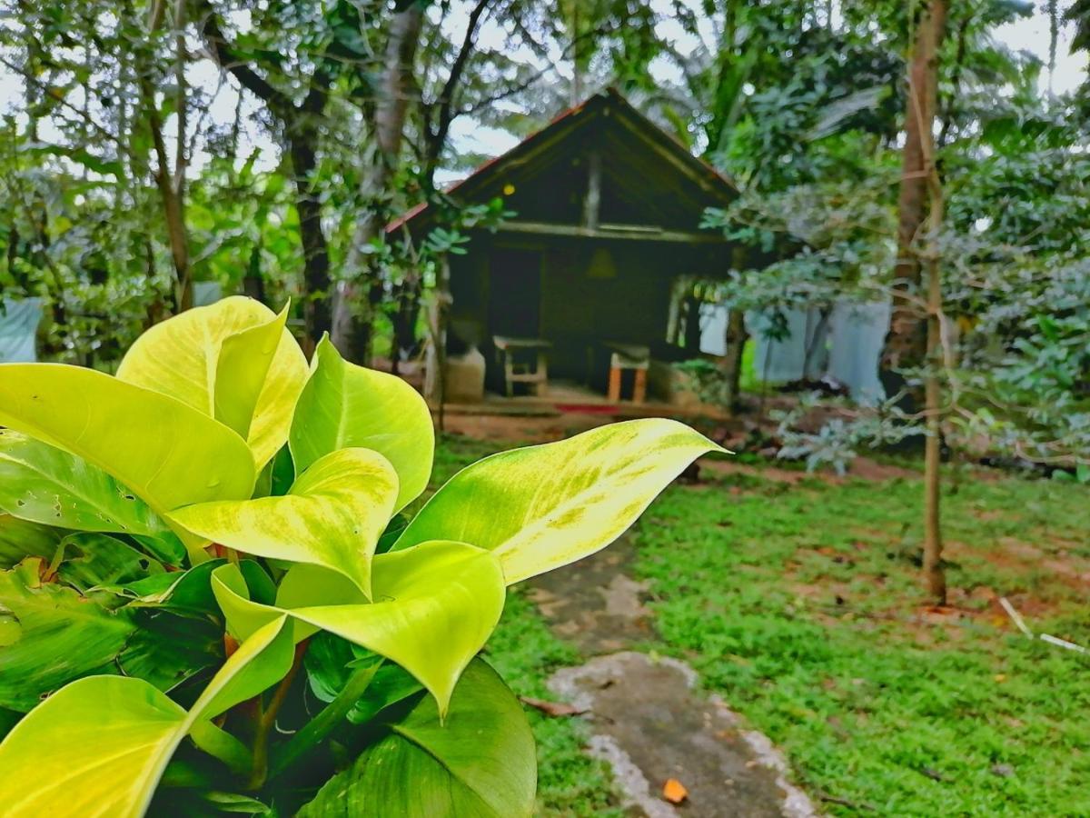 Hotel Dambulla Wilderness World Exteriör bild