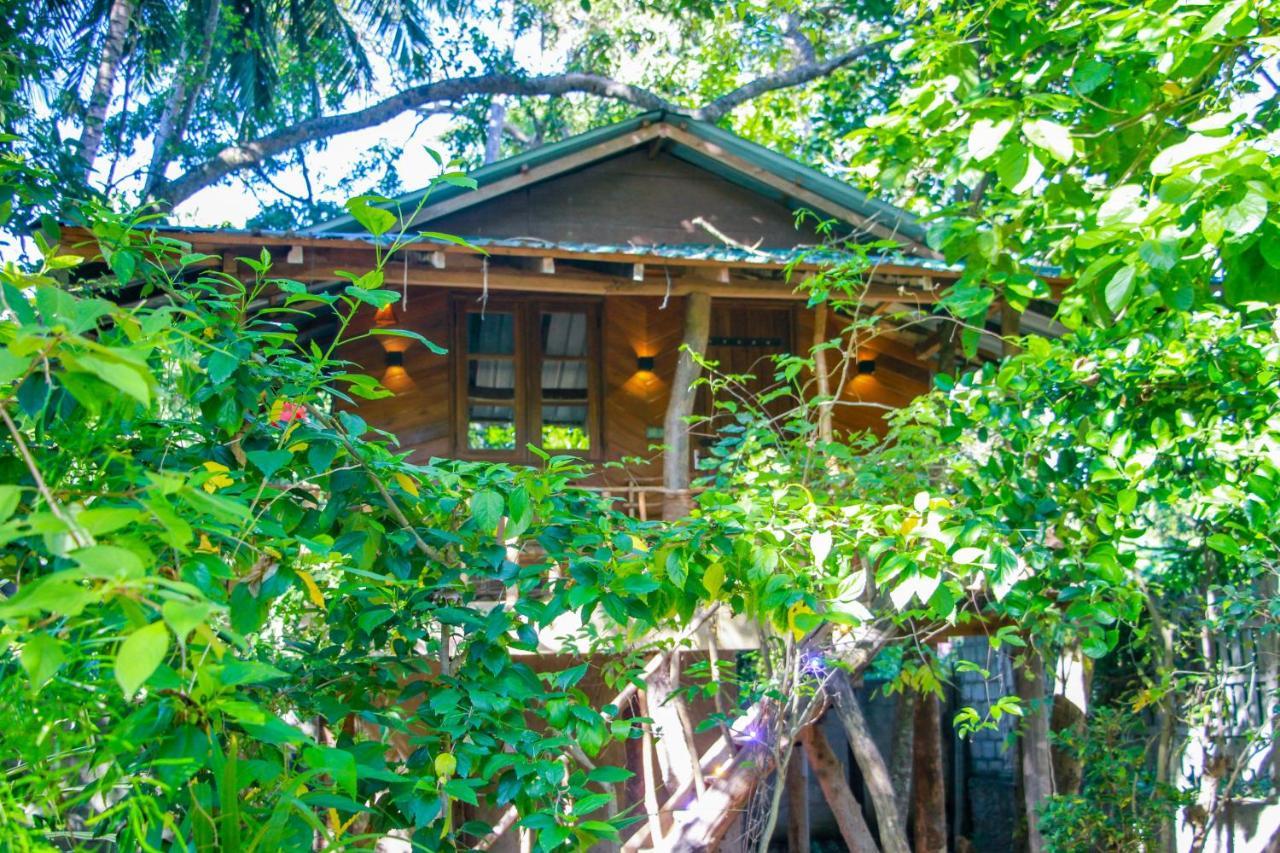 Hotel Dambulla Wilderness World Exteriör bild