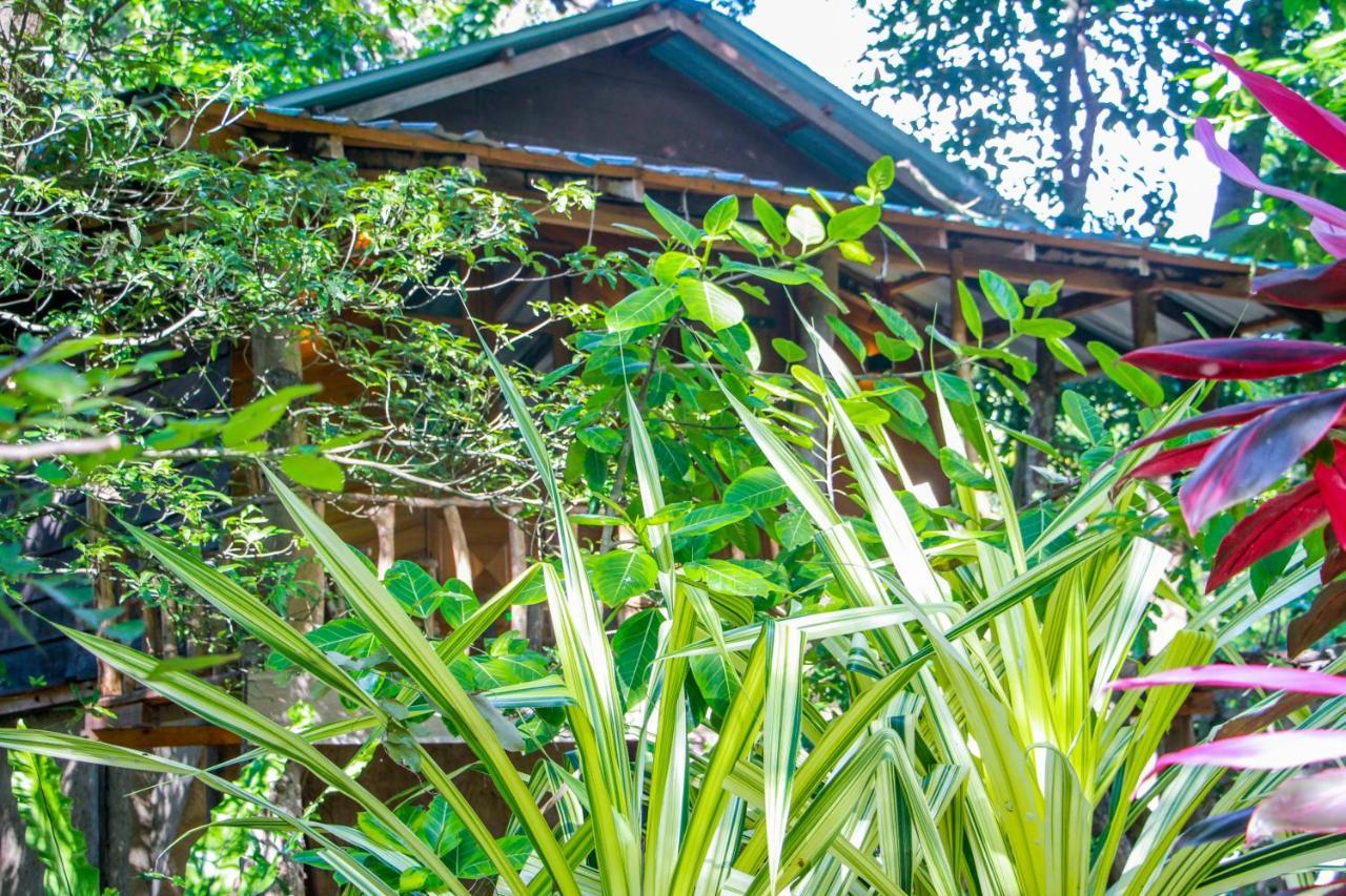 Hotel Dambulla Wilderness World Exteriör bild