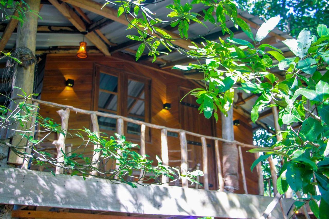 Hotel Dambulla Wilderness World Exteriör bild