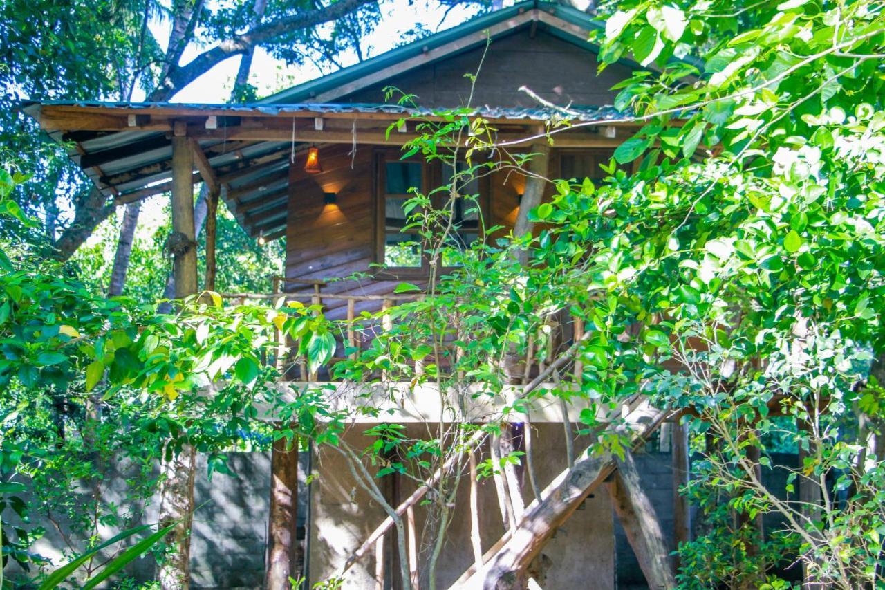 Hotel Dambulla Wilderness World Exteriör bild